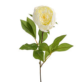 PEONY STEM CREAM
